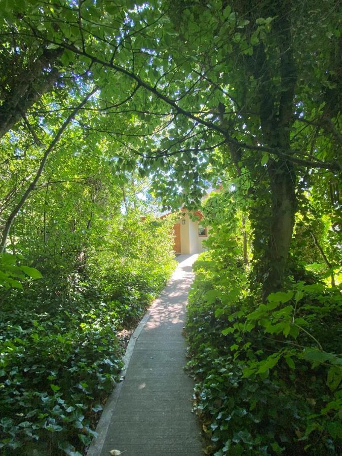 Altos Del Sur Cabanas De Montana El Bolsón エクステリア 写真