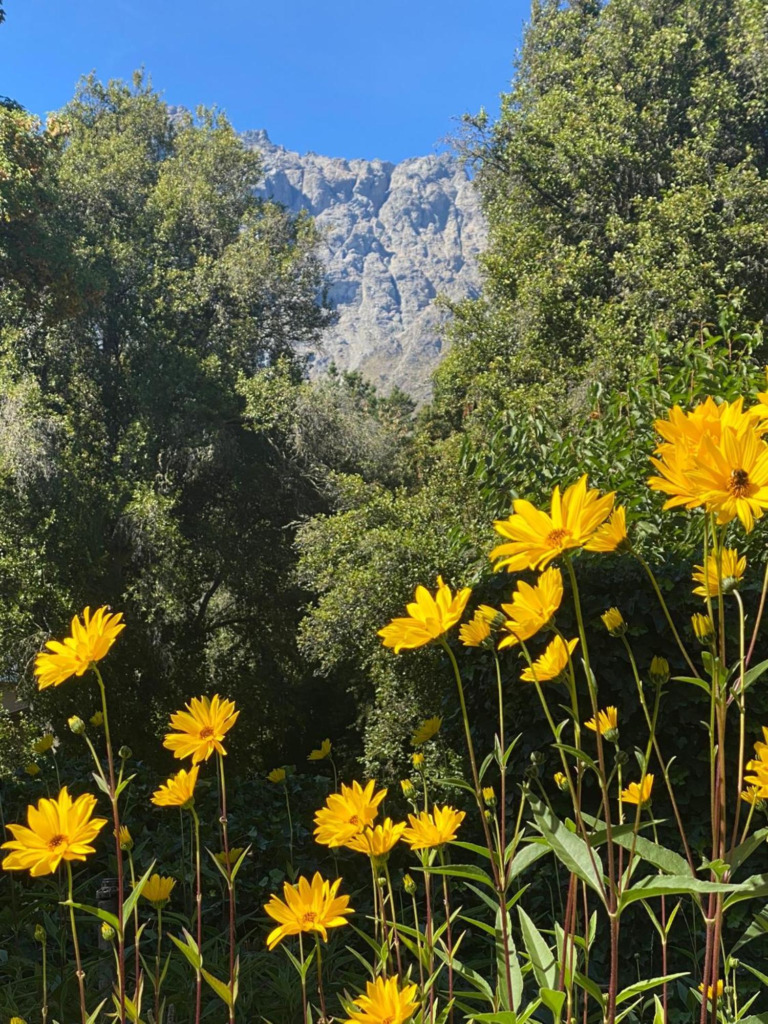Altos Del Sur Cabanas De Montana El Bolsón エクステリア 写真