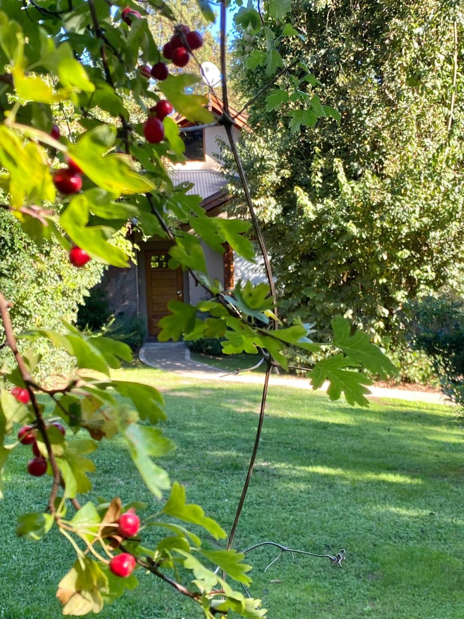 Altos Del Sur Cabanas De Montana El Bolsón エクステリア 写真