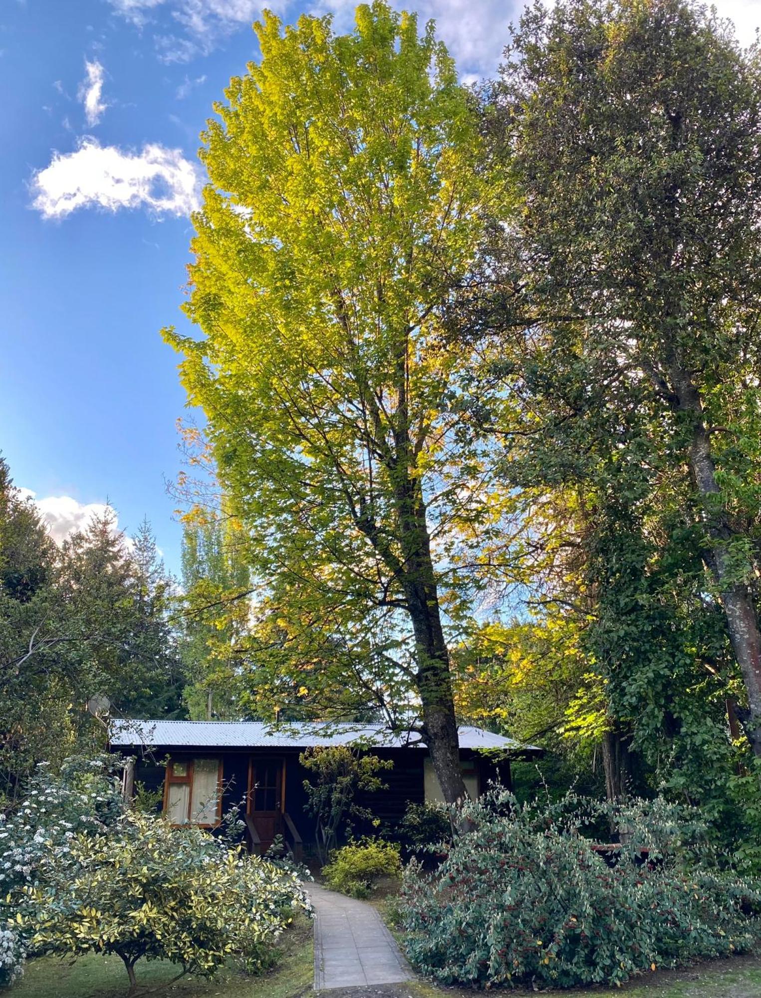 Altos Del Sur Cabanas De Montana El Bolsón エクステリア 写真