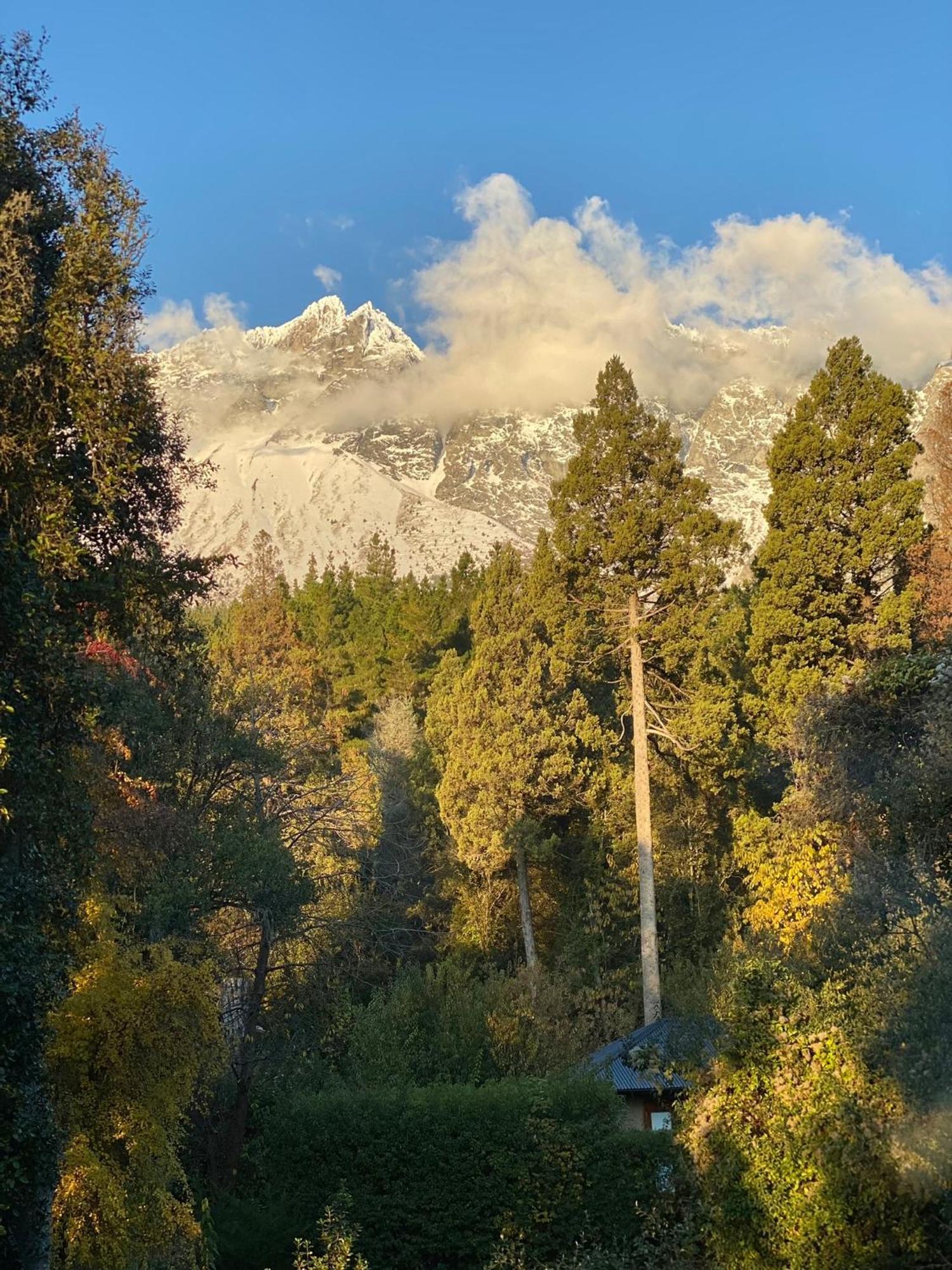 Altos Del Sur Cabanas De Montana El Bolsón エクステリア 写真