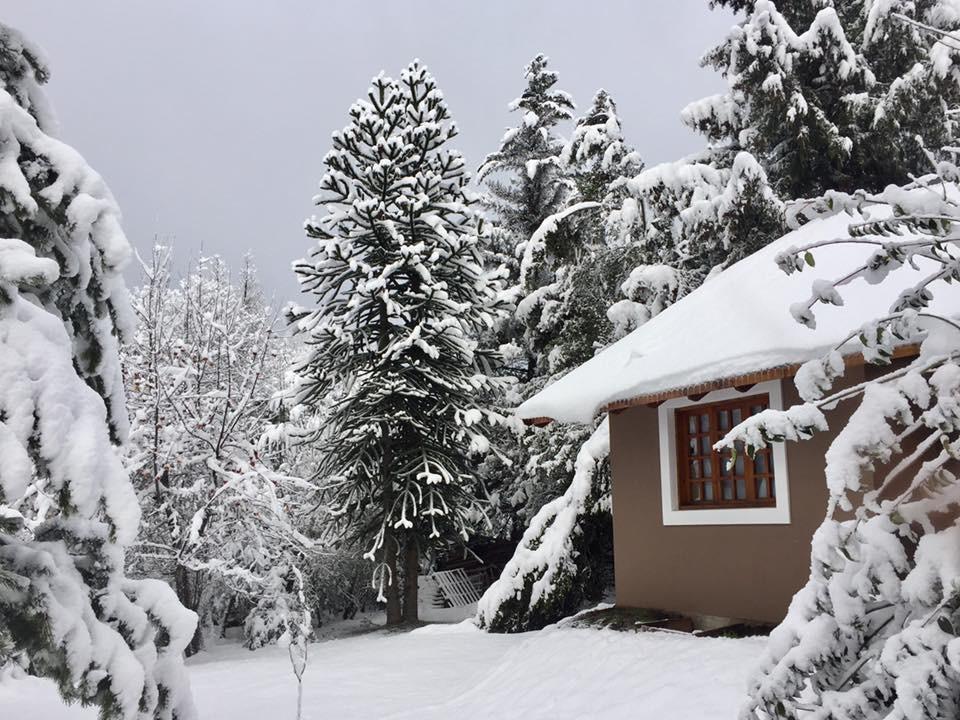 Altos Del Sur Cabanas De Montana El Bolsón エクステリア 写真