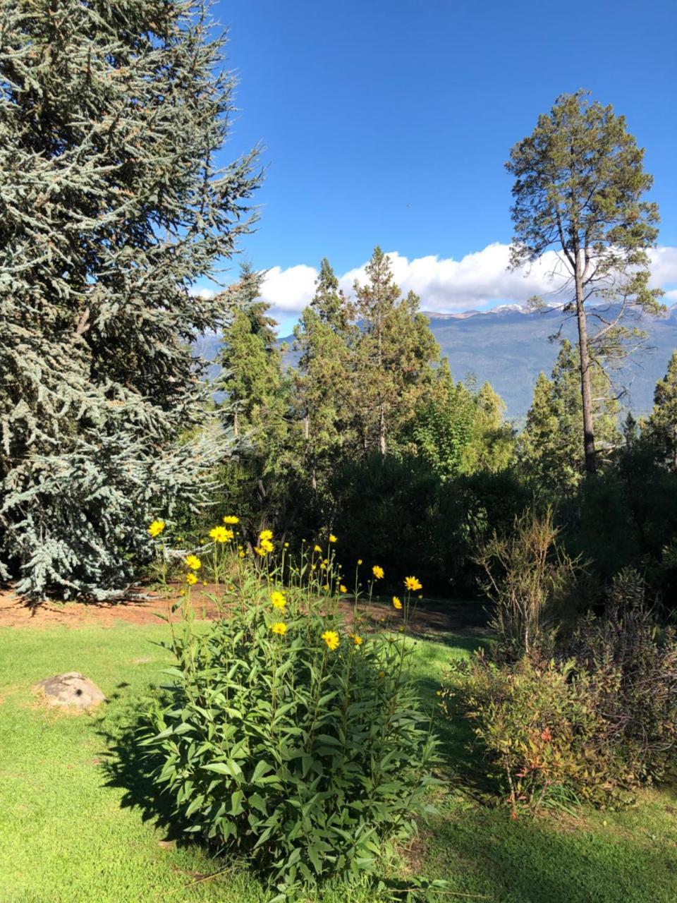 Altos Del Sur Cabanas De Montana El Bolsón エクステリア 写真